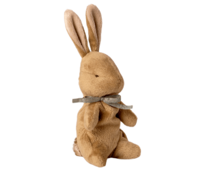 My first bunny – Image 2