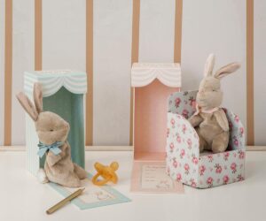 My first bunny – Image 4