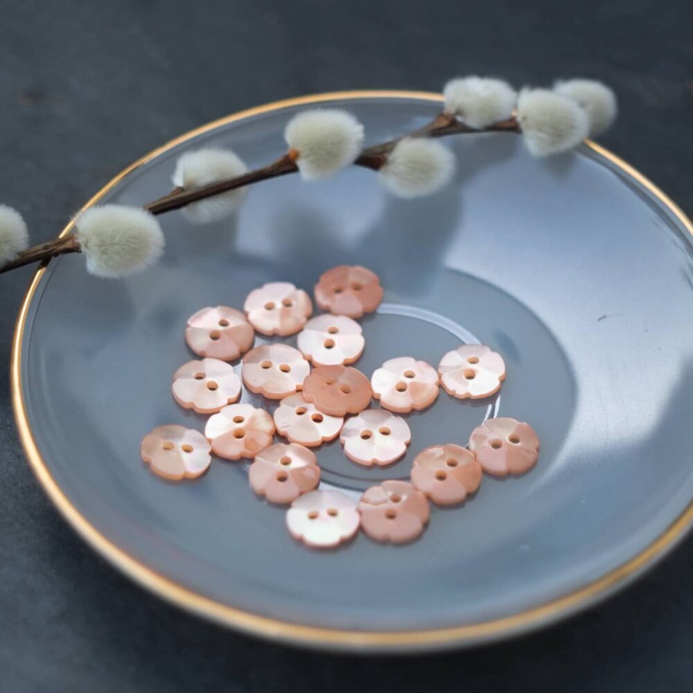 Boutons fleurs nacre pêche
